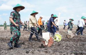 Pangdam II/Sriwijaya Canangkan Penanaman Padi Gogo di Banyuasin
