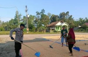 Bhabinkamtibmas Muara Padang Dampingi Proses Penjemuran Jagung