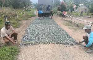 Kejar Target, Pemdes Tirta Jaya Realisasikan Pengamparan Koral