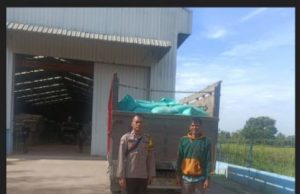 Bhabinkamtibmas Muara Padang Monitor Pengiriman Jagung ke Bulog