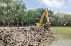 Pemerintah Desa Margo Mulyo 20, Laksanakan Penanggulan Penahan Banjir
