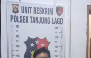 Polsek Tanjung Lago Ungkap Kasus Pencurian Sawit 2 Ton, Satu Tersangka Ditangkap
