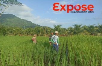 Dukung Ketahanan Pangan, Anggota Koramil 05/Pemangkat Laksanakan Komsos Bersama Petani Padi