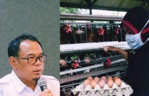 Dinas Peternakan kab Sukabumi Pastikan Hewan Ternak di Sukabumi Dipastikan Aman Untuk Dikonsumsi