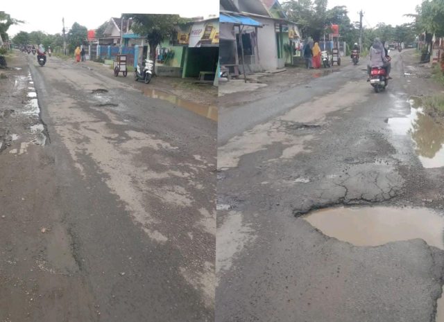 WhatsApp Image 2026-02-24 at 20.59.04 (1)