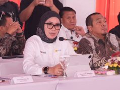 Dirut Distribusi PLN Pastikan Kesiapan Listrik serta SPKLU Jelang Mudik Idul Fitri