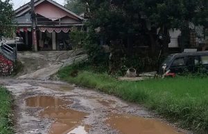 Dalam Sejarah,Belum Pernah Ada Satupun Kepala Desa di Kecamatan Nyalindung kabupaten Sukabumi Mampu Penuhi Keinginan Warganya, Menyediakan Jalan Yang Layak di Ruas Cijangkar Hingga Sukamaju