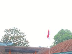 Senyum Ceria Anak Bangsa Saat Menyambut Kedatangan MBG di Sekolah Masing-masing