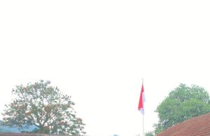 Senyum Ceria Anak Bangsa Saat Menyambut Kedatangan MBG di Sekolah Masing-masing