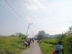 Antisipasi DBD, Warga RW 10 Kelurahan Palumbonsari Kompak Gelar Kerja Bakti Massal