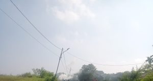 Antisipasi DBD, Warga RW 10 Kelurahan Palumbonsari Kompak Gelar Kerja Bakti Massal