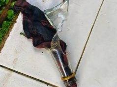 Pelaku Pelempar Bom Molotov di Sukabumi Berhasil Diamankan