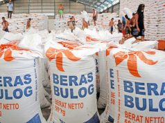 Stok Bulog Capai 3,3 Juta Ton Tertinggi Sepanjang Sejarah