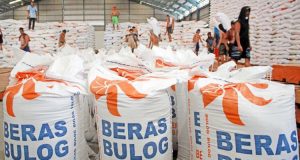 Stok Bulog Capai 3,3 Juta Ton Tertinggi Sepanjang Sejarah