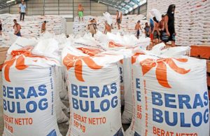 Stok Bulog Capai 3,3 Juta Ton Tertinggi Sepanjang Sejarah