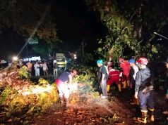 Penanganan Terpadu Dinas Pemadam Kebakaran,BPBD, Tagana Aparat kepolisian Tangani Pohon Tumbang di Jalur Nasional Palabuhanratu–Banten