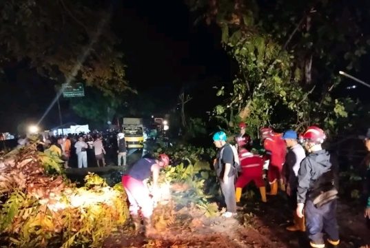 Penanganan Terpadu Dinas Pemadam Kebakaran,BPBD, Tagana Aparat kepolisian Tangani Pohon Tumbang di Jalur Nasional Palabuhanratu–Banten