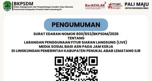 ASN Dilarang Live di Medsos Saat Jam Kerja