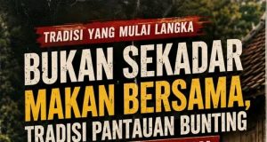 Tradisi Unik Pantauan Bunting Masih Dipertahankan