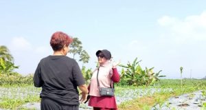 Owner Reddoorz Syariah Tinjau Perkembangan Lahan Perkebunan Di Kalicecep Wonosobo