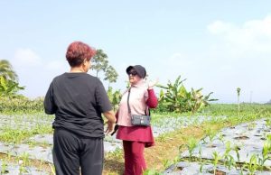 Owner Reddoorz Syariah Tinjau Perkembangan Lahan Perkebunan Di Kalicecep Wonosobo