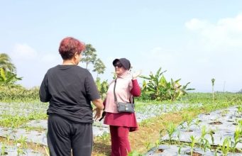 Owner Reddoorz Syariah Tinjau Perkembangan Lahan Perkebunan Di Kalicecep Wonosobo