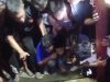 Seekor Paus Menghebohkan Warga Sungsang lV