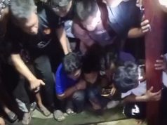 Seekor Paus Menghebohkan Warga Sungsang lV