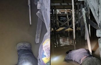 Terduga Pelaku Pencurian Kabel di Jembatan Kapuas II Ditemukan Tewas di Sungai Kapuas