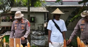 Satreskrim Polres Karawang Pantau Pertumbuhan Jagung, Dukung Program Swasembada dan Ketahanan Pangan