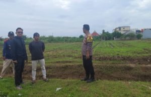 Sinergi Polisi dan Petani, Polsek Klari Turun Langsung Pemupukan Jagung Hibrida