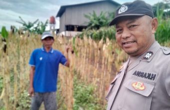 Polsek Klari Turun ke Lahan Pertanian, Pastikan Tanaman Jagung Tumbuh Optimal