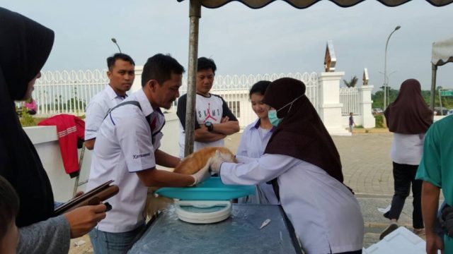 pelayanan-kesehatan-3-1024x576