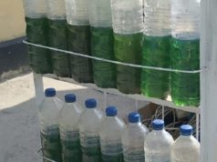Kontroversi Kenaikan Harga Pertalite di Sejumlah Pelosok