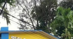 Siswa SDN Dewi Sartika CBM Sukabumi Raih Prestasi Hingga Tingkat Nasional