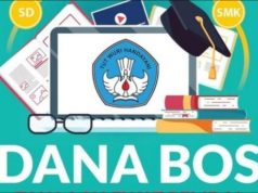 Peraturan Menteri Pendidikan Dasar dan Menengah Nomor 8 Tahun 2026 tentang Petunjuk Teknis (Juknis) Pengelolaan Dana Bantuan Operasional Satuan Pendidikan (BOSP)