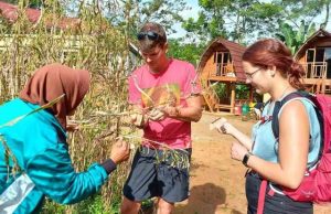 Desa Hanjeli Destinasi Wisata di Sukabumi Dengan Tanam,Panen Hingga Olahan Hanjeli