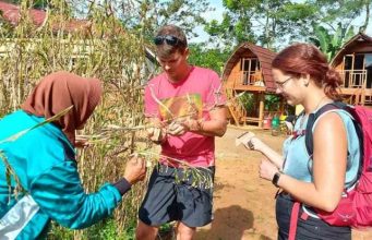 Desa Hanjeli Destinasi Wisata di Sukabumi Dengan Tanam,Panen Hingga Olahan Hanjeli