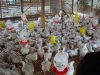 Mulai 15 Juli 2026, Pemerintah Menetapkan Standarisasi Harga Ayam Live Bird(Ayam Hidup),Rp 19.500/Kg dan Telur Rp 24.000