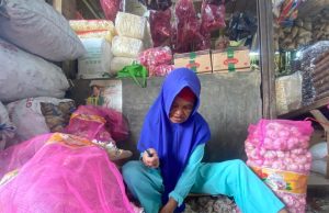 Kenyataan nya Upah Pengupas Bawang di Sukabumi Berbeda Dengan Pidatonya Presiden Prabowo Saat Sidang Tahunan Bersama DPR-RI