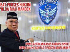 Paradoks Perdamaian Hotman Paris–PWI: Ketika Hukum Tunduk pada Bargaining Power dan Panggung Elit