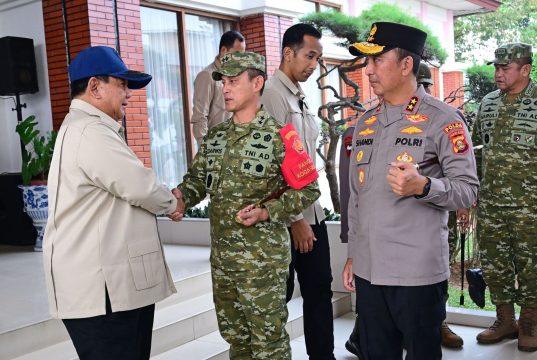 Presiden Prabowo Kunjungi Palembang, 3.000 Personel TNI Dikerahkan Tangani Karhutla Sumsel