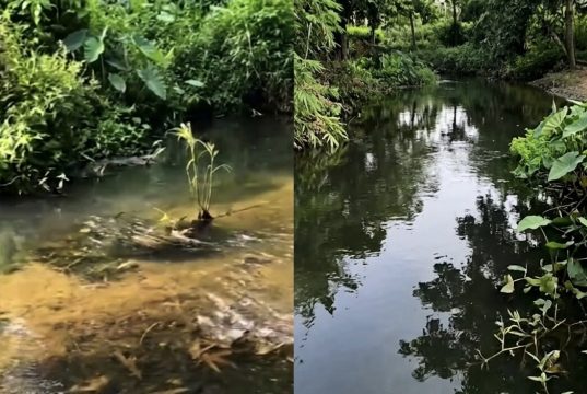 Sungai Lape Menghitam: Kades Binjai Temukan Dugaan Pencemaran Limbah Industri PT SBW