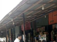Warga Pulau Penebang Kayong Utara Pertanyakan Legalitas Sejumlah WNA Asal China yang Datang untuk Bekerja