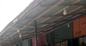 Warga Pulau Penebang Kayong Utara Pertanyakan Legalitas Sejumlah WNA Asal China yang Datang untuk Bekerja
