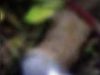 Tragis! Ibu dan Anak Ditemukan Meninggal Dunia dengan Tangan dan Kaki Terikat di Kuala Behe, Landak : Uang 135 Juta dan Emas 30 Gram Raib