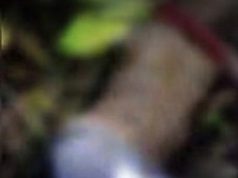 Tragis! Ibu dan Anak Ditemukan Meninggal Dunia dengan Tangan dan Kaki Terikat di Kuala Behe, Landak : Uang 135 Juta dan Emas 30 Gram Raib