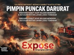 Neraka Gambut Khatulistiwa: Kalimantan Barat Mendidih dan Pimpin Puncak Darurat Titik Api Nasional