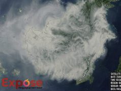 Langit Kalimantan Kian Meredup, Citra Satelit Ungkap Selimut Asap yang Membekap Paru-Paru Dunia