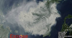 Langit Kalimantan Kian Meredup, Citra Satelit Ungkap Selimut Asap yang Membekap Paru-Paru Dunia